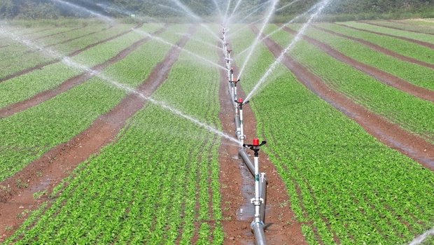 Beim Reihenregner ist der Aufwand beim Auf- und Abbau gross, das erhöht die Arbeitskosten. Dafür kann er bei Bedarf mit kleinen Einzelgaben bewässern.