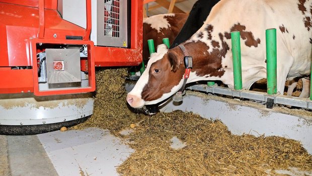 Melkroboter, Entmistungsroboter, Fütterungsroboter (Bild): Automatisierte Systeme sind in der landwirtschaftlichen Praxis schon längst verbreitet.