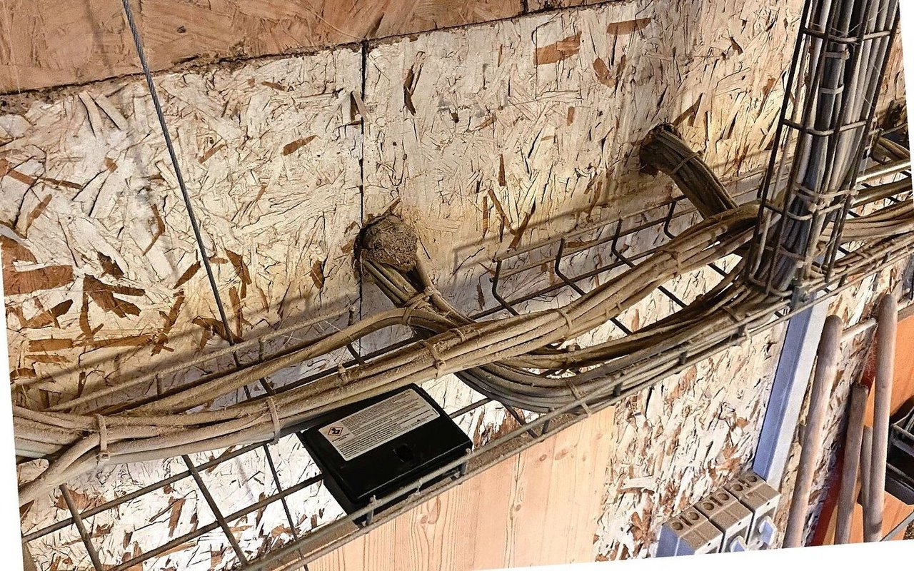 Wer die Durchgänge verschliesst, schützt seine Tiere vor Schadnagern.