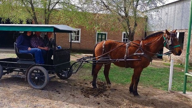 Egon Tschol, wie er mit seiner Frau und seiner Tochter auf dem Einspänner-Buggy einer Mennoniten-Familie durch die sandige Hauptstrasse der Kolonie fährt.