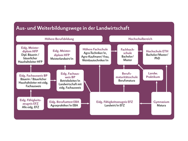 Die Wege in der Landwirtschaft sind vielfältig. Die weiteren Ausbildungswege ab Landwirt/in EFZ können auch mit den Abschlüssen Weinfachmann/-frau EFZ, Gemüsegärtner/in EFZ und Obstfachfrau/-mann EFZ absolviert werden. 