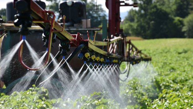 Zwei Standesinitiativen zum Thema Glyphosat hat die WAK abgelehnt. Sie ist der Ansicht, dass eine umfassende Risikoreduktion für den Pestizideinsatz zielführender ist als Regelungen für einzelne Stoffe. (Bild Thomas Steiner)