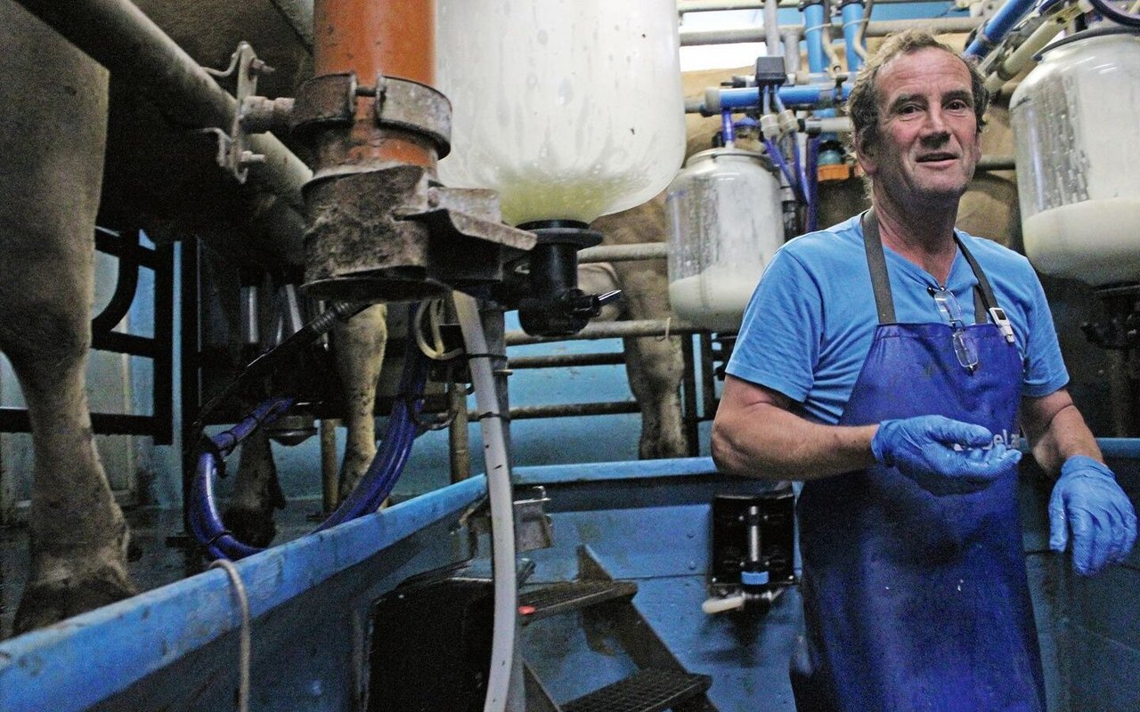 Martin Pfister steht mit Schürze und Handschuhen im Melkstand. Hinter ihm sind die Kuhklauen und die abgepumpte Milch zu sehen.