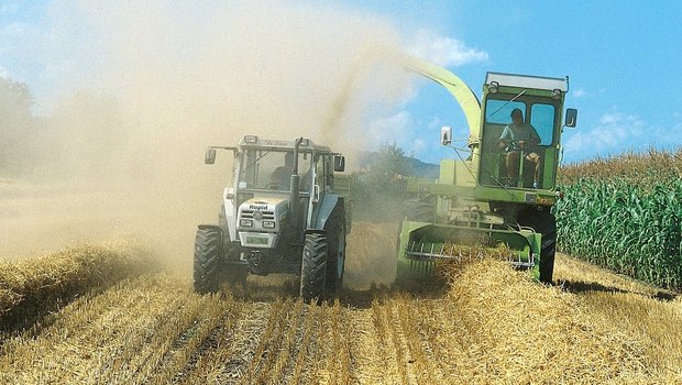 Bei der Getreideernte oder der Bodenbearbeitung ist der Staub deutlich zu sehen. Filter in den Traktor-Kabinen schützen wirksam. Bild: BUL