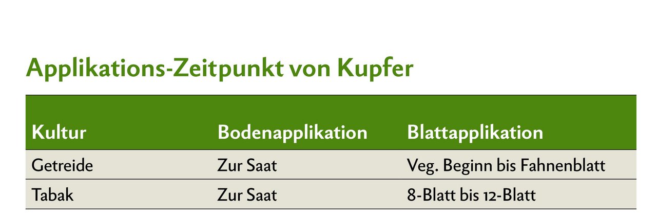 Applikations-Zeitpunkt von Kupfer bei Getreide und Tabak.