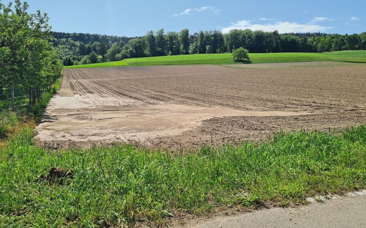 Bei Frühlingssaaten nach intensiver Bodenbearbeitung besteht ein erhöhtes Risiko für Bodenerosion. Die Kulturpflanze hat noch wenig Blattmasse gebildet, welche die Bodenpartikel bei einem allfälligen Starkregen schützen könnte.