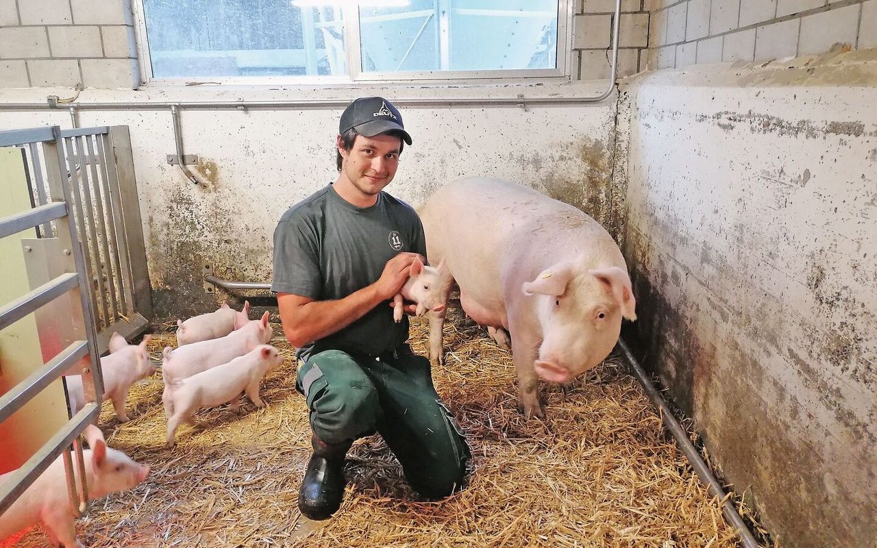 Manuel Küchler mit drei Wochen alten Ferkeln. Mit fünf Wochen wechseln die Jungtiere in den Aufzucht- und Maststall, die Muttersau geht zurück in den Deckbetrieb.