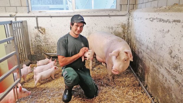 Manuel Küchler mit drei Wochen alten Ferkeln. Mit fünf Wochen wechseln die Jungtiere in den Aufzucht- und Maststall, die Muttersau geht zurück in den Deckbetrieb.