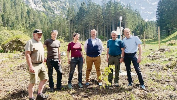 Revierförster Beat Herger, Bürgerrat Armin Briker, Projektleiterin Kathrin Streit, Sicherheitsdirektor Dimitri Moretti, Bürgerpräsident Peter Kempf, Kantonsforstmeister Roland Wüthrich (v. l.).