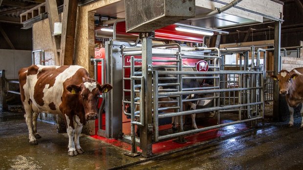 Melkroboter – Die Modelle von DeLaval, Lely, GEA, Lemmer Fullwood (Merlin), Boumatic und System Happel in der Praxis