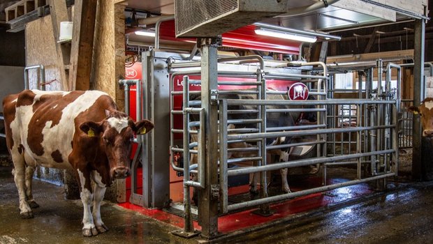 Melkroboter – Die Modelle von DeLaval, Lely, GEA, Lemmer Fullwood (Merlin), Boumatic und System Happel in der Praxis
