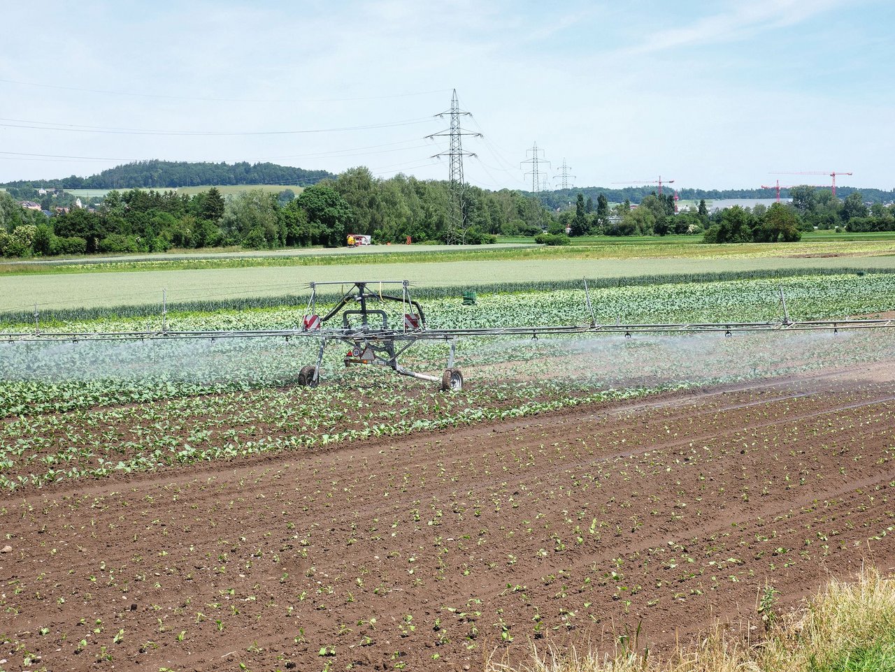 Das Furttal ist bekannt für seine Gemüseproduktion.