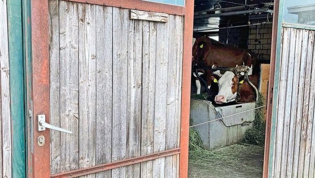 Stallungen dürfen in Abwesenheit des Tierhalters nicht ohne Weiteres betreten und kontrolliert werden.