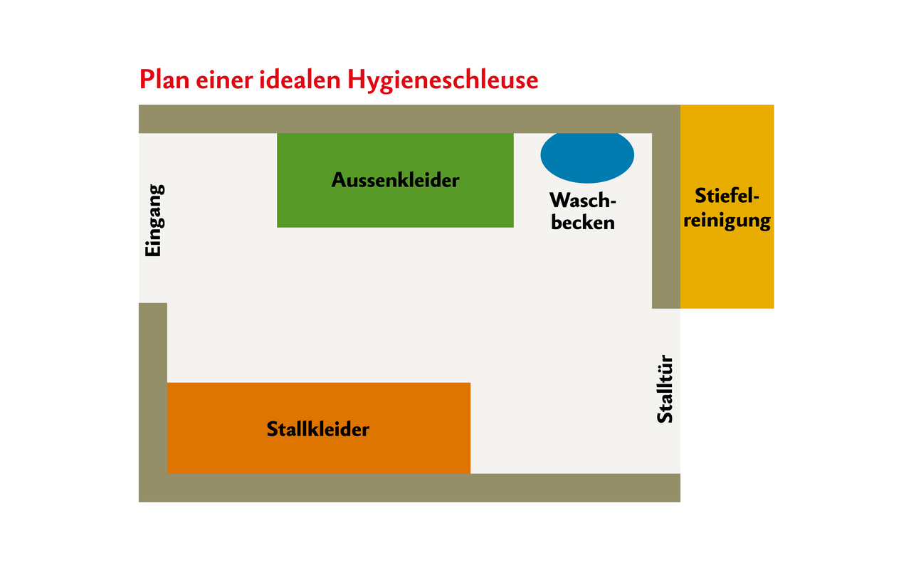 Skizze zeigt die Konzipierung einer idealen Hygieneschleuse, mit einem Bereich für die Stallkleider, einem Waschbecken und einer Stiefelreinigung.