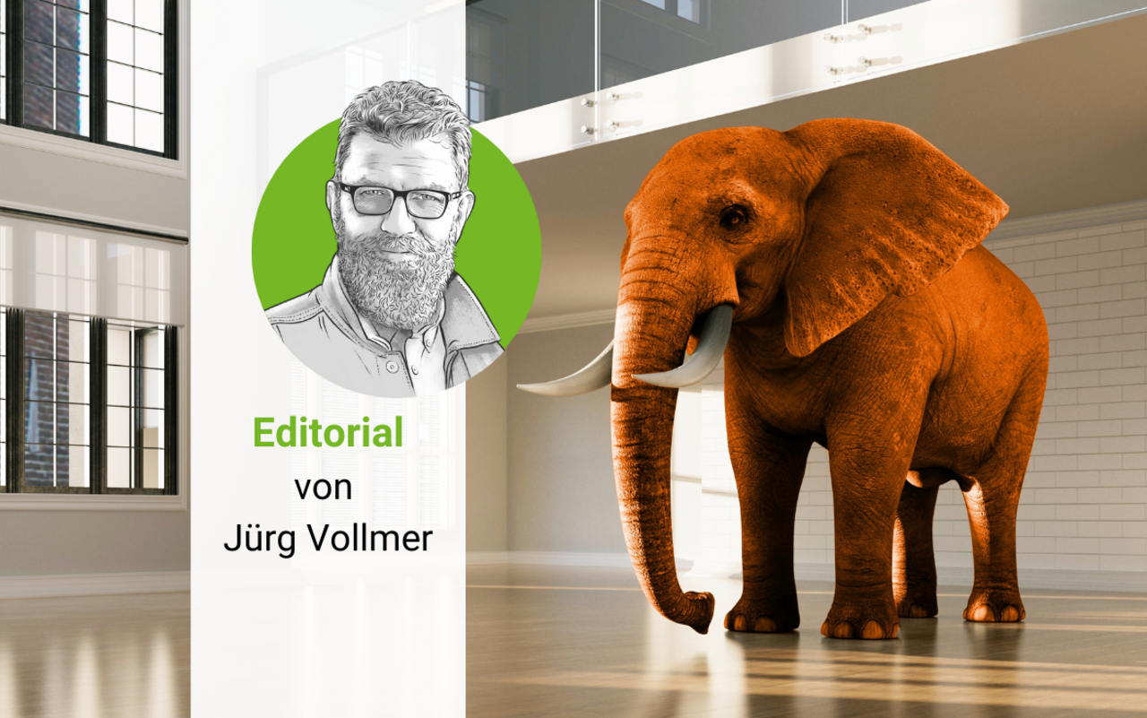 Ein oranger Elefant in einem leeren Raum, daneben das gezeichnete Porträt von «die grüne»-Chefredaktor Jürg Vollmer.