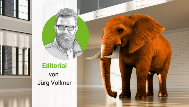 Ein oranger Elefant in einem leeren Raum, daneben das gezeichnete Porträt von «die grüne»-Chefredaktor Jürg Vollmer.