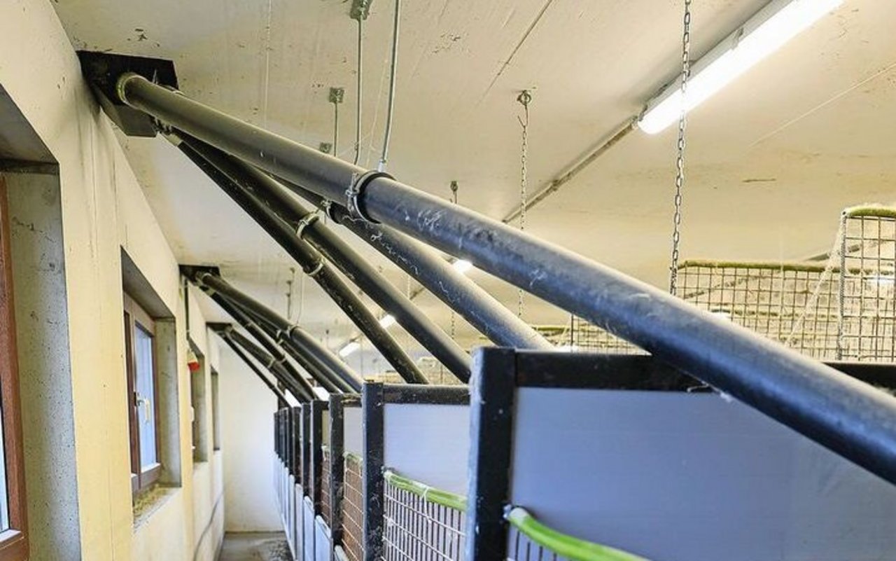 Im neuen Mastkaninchenstall führen die Leitungen vom Futtersilo direkt in die einzelnen Buchten. 