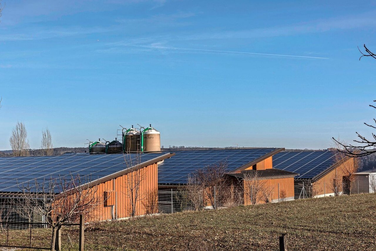 Der dreiteilige Schweinestall auf dem Hof Ebnet besteht aus einem Abferkel-, einem Aufzucht- und einem Maststall (von links nach rechts). 