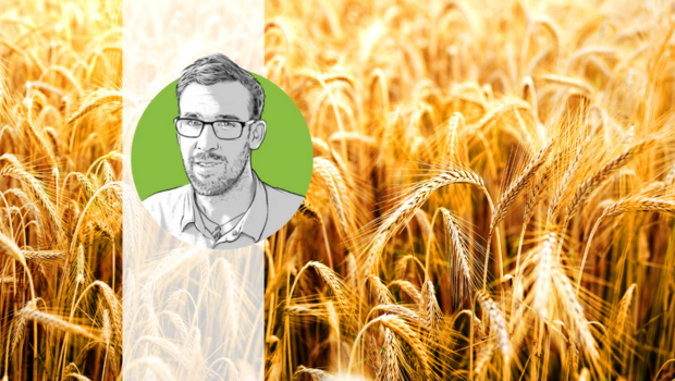 (Bild: «die grüne» / Bruno Muff / © metelevan - stock.adobe.com)