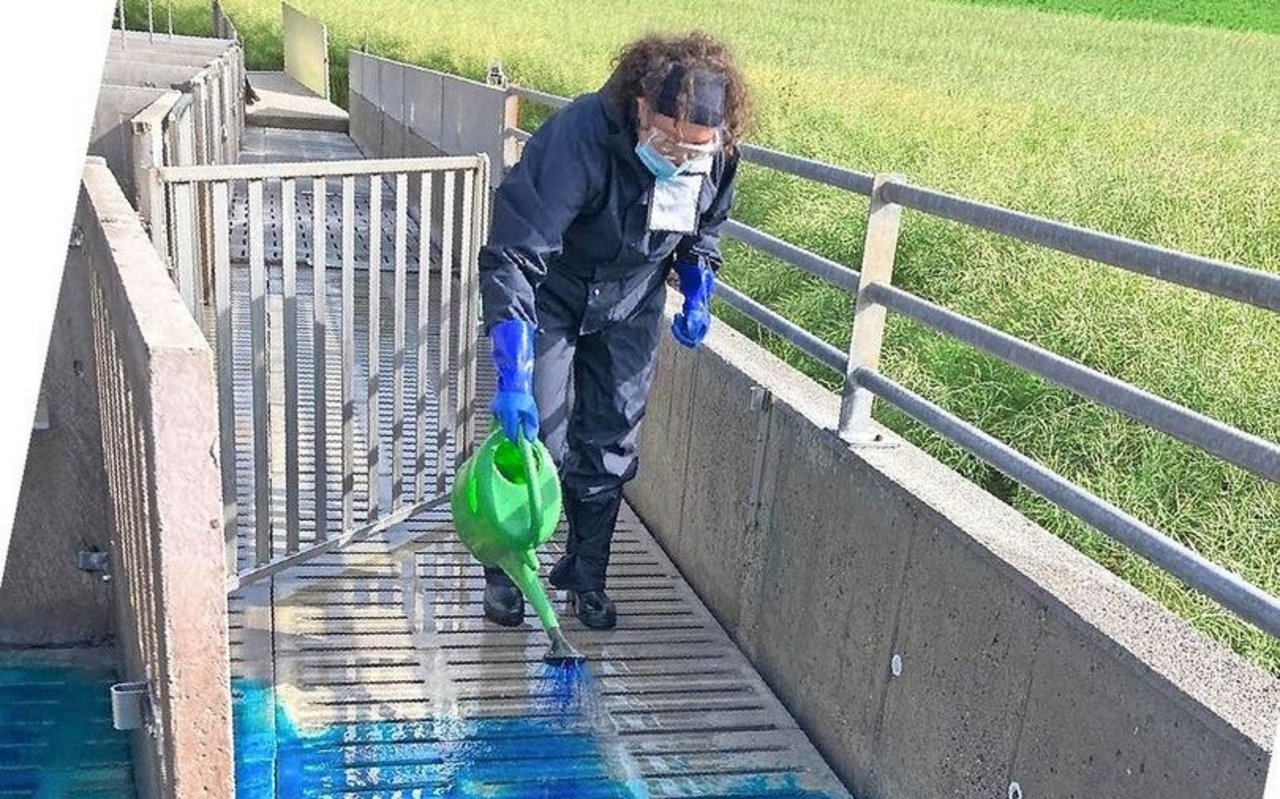 Die (Alzogur-)Desinfektion von Stall und Restgülle ist essenzieller Bestandteil der Brachyspiren-Sanierung, reicht aber als isolierte Massnahme nicht aus.