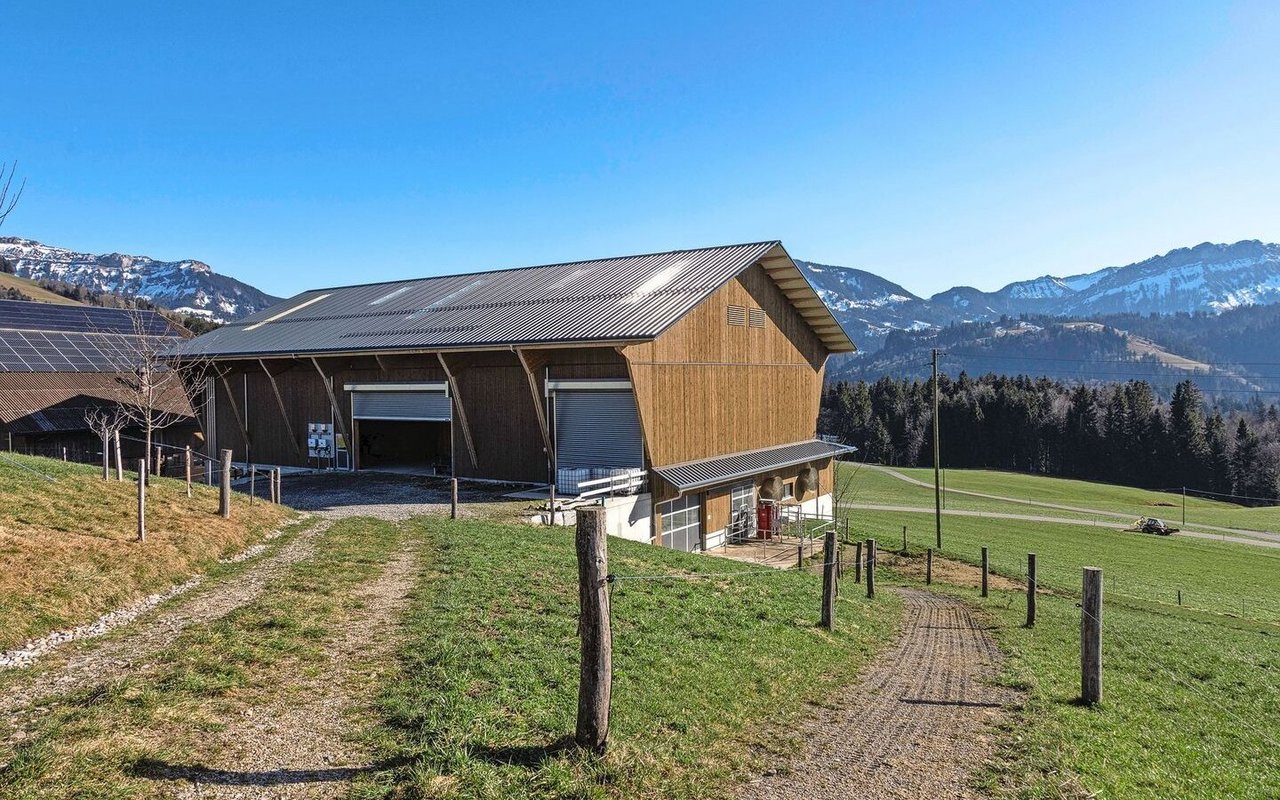 Der Stall ist deckenlastig gebaut. Das Futterlager sorgt für ein angenehmes Klima im darunterliegenden Stallbereich. 