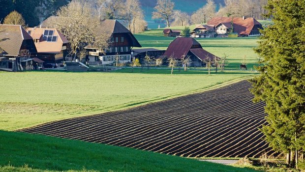 Kuh- oder Bergrechte, die nicht an das Talland gebunden sind, werden oftmals an nicht selbstbewirtschaftende Nachkommen weitervererbt. Sobald diese jedoch einem landwirtschaftlichen Gewerbe angehören, ist dies kaum oder gar nicht mehr möglich. 