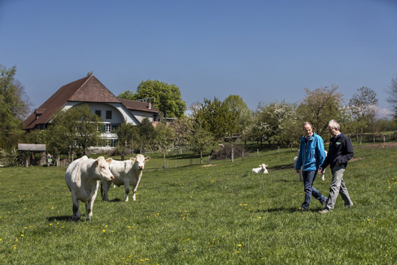 Landwirt Fredy Schmied behandelt seine Tiere in Absprache mit Tierarzt Oskar Luder mit Homöopathie. Bild: Pia Neuenschwander