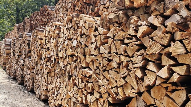 Brennholz war bislang ein Nischenmarkt. Dieses Jahr jedoch haben Forstbetriebe teils die zehnfache Bestellmenge wie sonst üblich. Experten beobachten hier einen «Klopapiereffekt». 