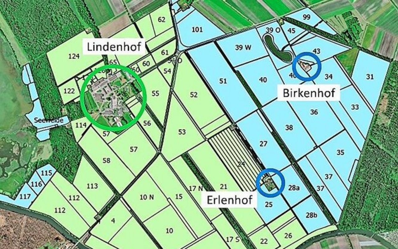Die blaue Fläche wird abgegeben. Der grüne Bereich zeigt die verbleibende Fläche der JVA Witzwil.  Schwarz eingefärbt sind Windschutzstreifen, bestehend aus Hecken, Wald und Gewässern.