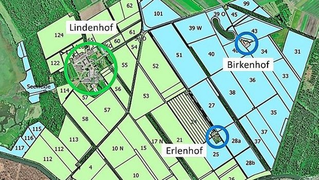 Die blaue Fläche wird abgegeben. Der grüne Bereich zeigt die verbleibende Fläche der JVA Witzwil.  Schwarz eingefärbt sind Windschutzstreifen, bestehend aus Hecken, Wald und Gewässern.