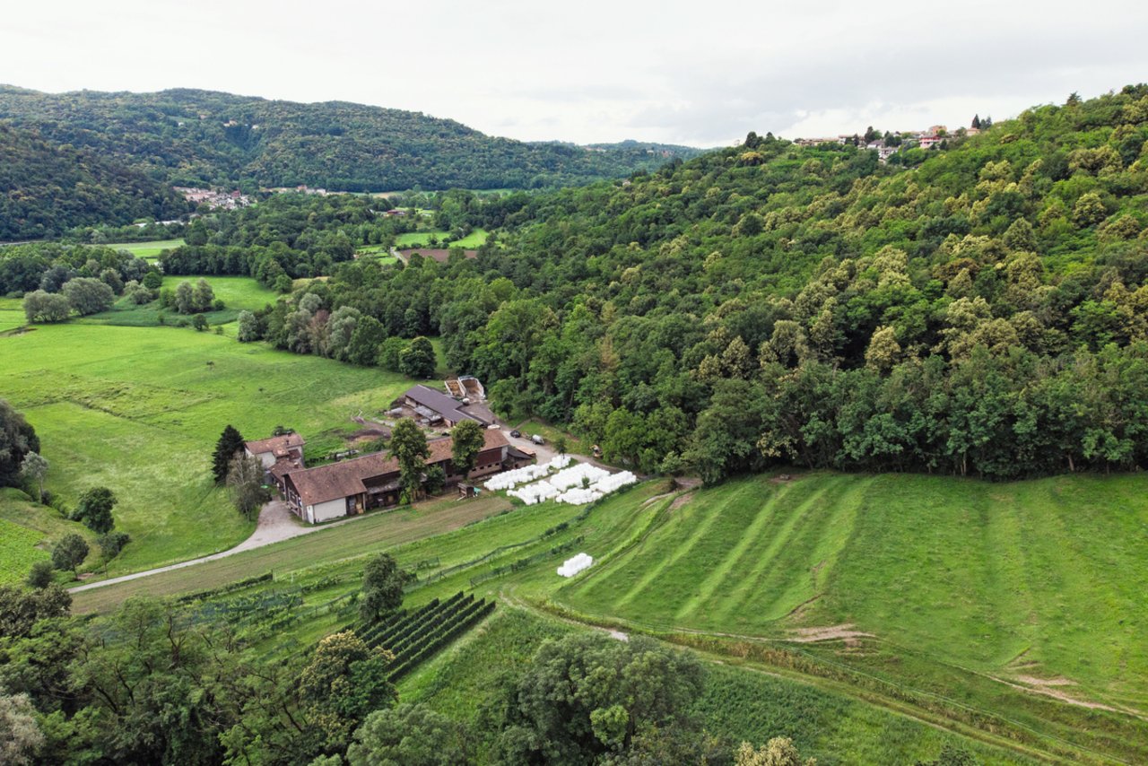 Bewaldet, hügelig und saftig grün: So präsentiert sich die «Azienda Gabaglio», der südlichste Vollerwerbs-Betrieb der Schweiz. Bild: Alessandro Crinari