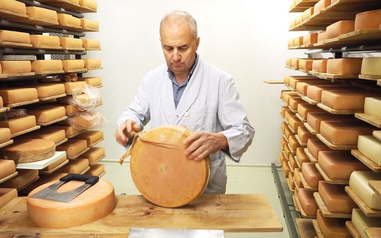 Auspacken eines Raclette-Käses aus der biologisch abbaubaren Hülle im Keller der Küssnachter Dorfkäserei.