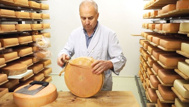 Auspacken eines Raclette-Käses aus der biologisch abbaubaren Hülle im Keller der Küssnachter Dorfkäserei.