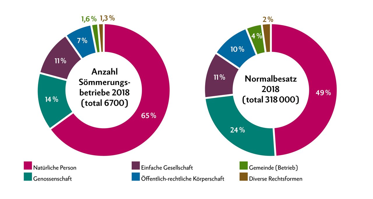 Sömmerungsbetriebe sind meistens natürliche Personen und einfache Gesellschaften. Anders als bei Ganzjahresbetrieben gibt es bei Sömmerungsbetrieben auch viele Genossenschaften oder öffentlich-rechtliche Körperschaften. Ein Grund ist die Tradition. Und die kollektive Bewirtschaftung weist insbesondere bei einer extensiveren Nutzung wirtschaftliche Vorteile auf. Quelle: BLW. Grafik: Nicole Geiser