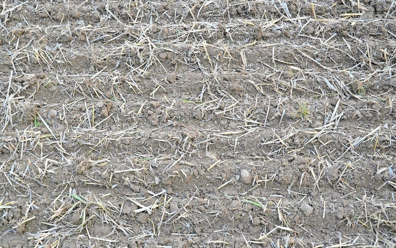 Im Gespann Lemken Zirkon 8 und Saphir 9 öffnet die Kreiselegge den Boden breitflächig, es folgen Doppelscheibenscharen mit einzelner Tiefenführung.