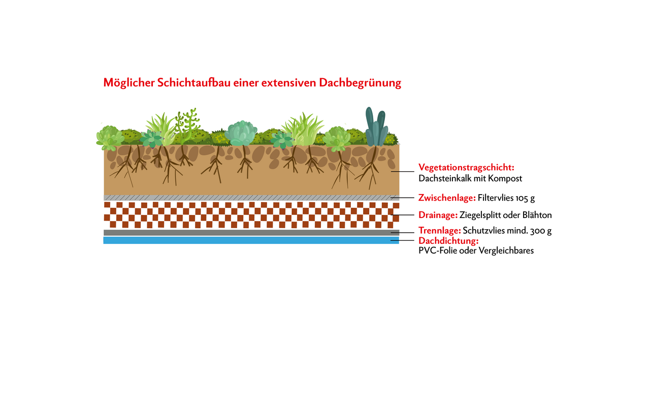 Der oben abgebildete Dachaufbau mit extensiver Begrünung wurde im Rahmen eines Praxisversuchs an der Höheren Bundeslehr- und Forschungsanstalt für Landwirtschaft Raumberg-Gumpenstein (HBLFA) in Österreich getestet. Der Versuch erfolgte über mehrere Jahre, wobei mit diesem Aufbau sehr gute Erfahrungen gemacht werden konnten. 