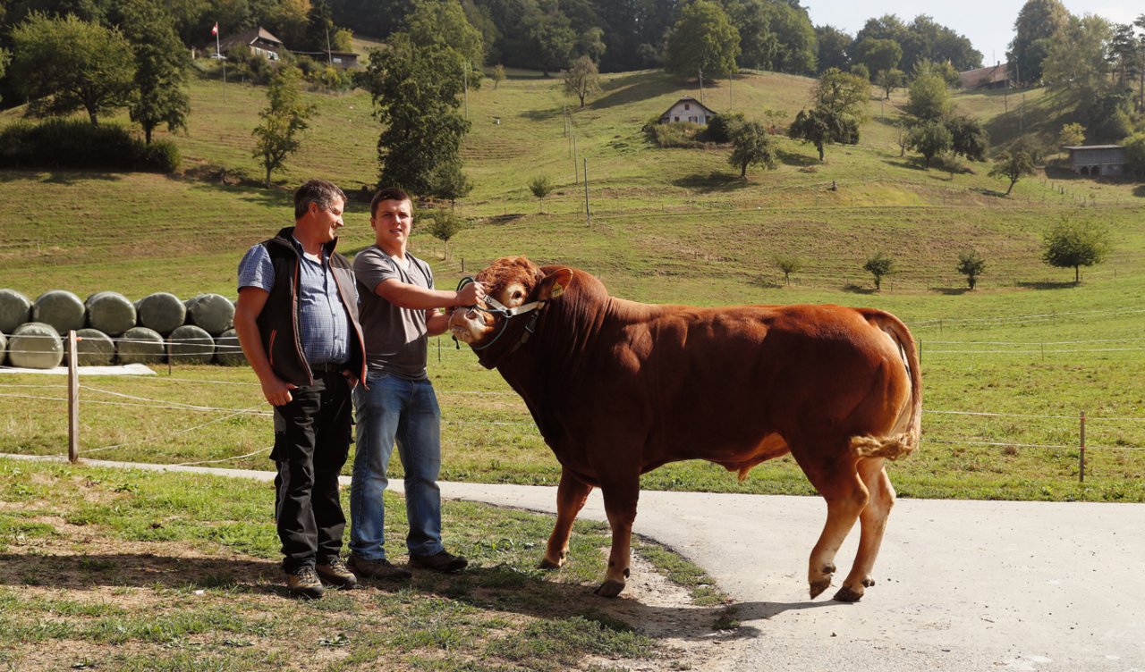 Bei Franz Burri, Limousin-Züchter aus Dagmersellen LU, sind die Lehrstellen für die nächsten drei Jahre bereits vergeben: «Ich weiss, dass das die Ausnahme ist.» Bild: Ruben Sprich
