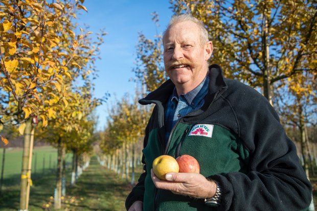 Hochstamm-Obstbäume brauchen einen guten Start Toni Suter ist Baumschulist aus Leidenschaft. «Einen Baum setzt man für Generationen», sagt Suter. Bild: Gian Vaitl