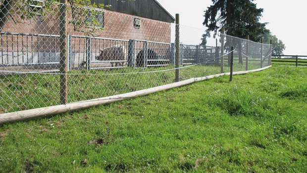 Erste Auswertungen der ASP-Risikoampel Als Schutz gegen die Afrikanische Schweinepest empfiehlt der SGD, den ganzen Betrieb zu umzäunen und so vor Wildschweinen abzuschirmen. Bild: Suisag