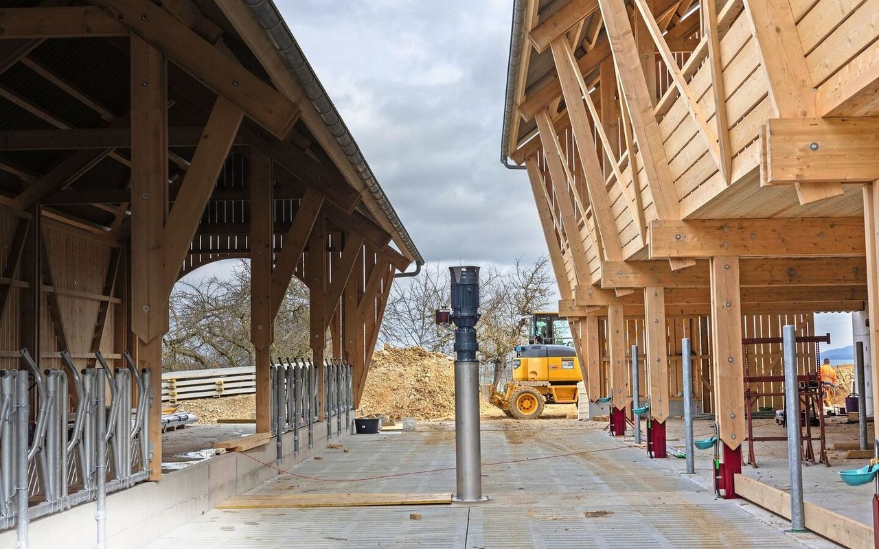 Der Neubau besteht aus zwei Gebäuden:Links wird den Tieren das Futter vorgelegt.Rechts werden unten Tiefstreuboxen installiert.Oben hat es Platz für Maschinen.In der Mitte (noch ohne Fressgitter) wird ein Bereich abgetrennt für die Kälber.