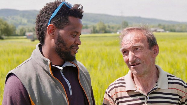 Bauer Markus Ramser bildet den Eritreer Tesfu Adhanom bei sich auf dem Hof aus. Bild: SRF