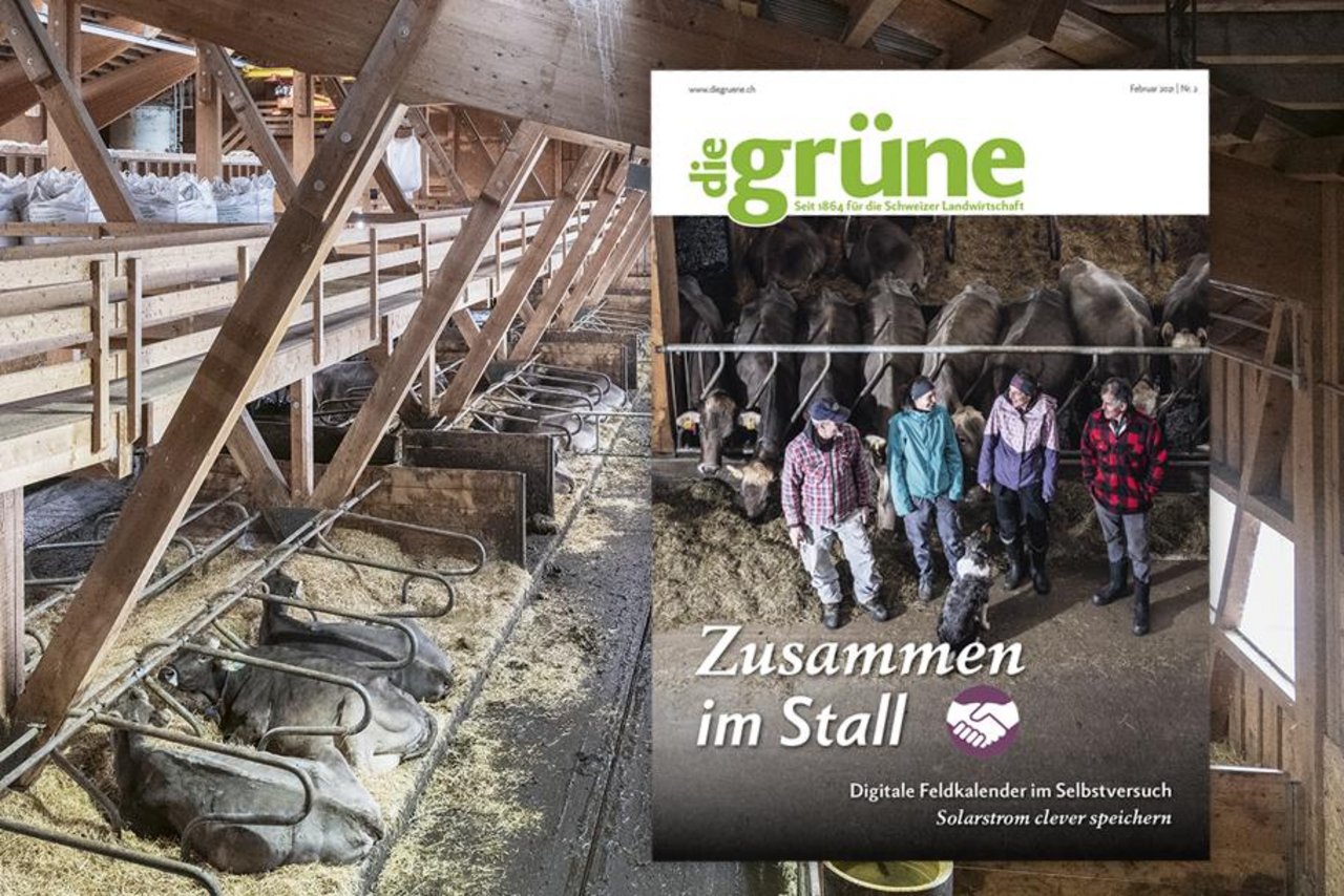 Das Februar Heft von «die grüne» bespricht unter anderem die Themen Agrarpolitik, digitale Feldkalender und Solarstrom. (Bild DG)