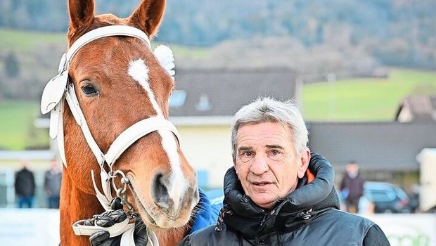 Der Hengstanwärter Érable  (Edoras / Never BW) im Besitz von Pierre Koller beeindruckte die Richter mit seinem Typ und Körperbau besonders.
