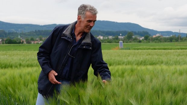Feldtage 2020: Trotz Absage lehrreich für Landwirte und Organisatoren «Es war ein schmerzvoller Entscheid, den wir da fällen mussten», sagt OK-Präsident Hans Hirschi von der Landor. Bild: Martina Rüegger