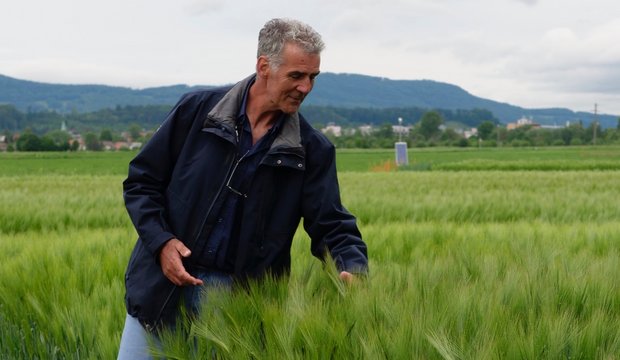 Feldtage 2020: Trotz Absage lehrreich für Landwirte und Organisatoren «Es war ein schmerzvoller Entscheid, den wir da fällen mussten», sagt OK-Präsident Hans Hirschi von der Landor. Bild: Martina Rüegger