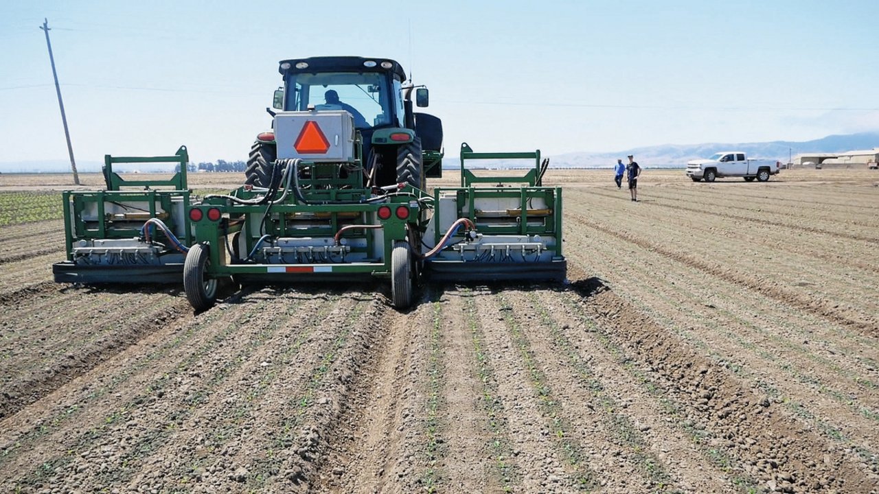 Der Ausdünnungs-Roboter auf den Betteravia Farms erkennt die zu pikierenden Pflanzen und besprüht sie je nachdem mit Flüssigdünger oder mit einem Fungizid. Bild: David Eppenberger