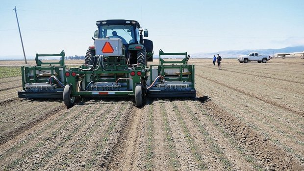 Mit Robotern gegen Personalmangel im Gemüsebau Der Ausdünnungs-Roboter auf den Betteravia Farms erkennt die zu pikierenden Pflanzen und besprüht sie je nachdem mit Flüssigdünger oder mit einem Fungizid. Bild: David Eppenberger