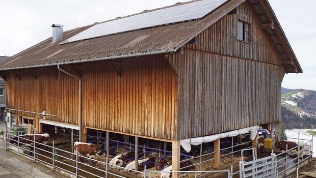 Den Anbindestall geschickt in einen Laufstall umgebaut Der deckenlastige Stall der Familie Alder in Hemberg ist auf zwei Seiten offen. (Bilder Michael Götz)