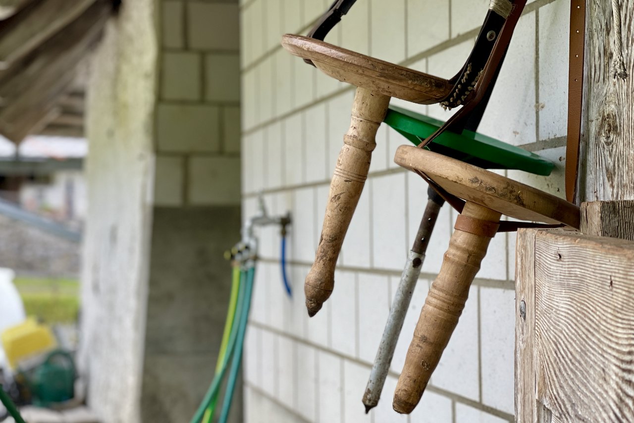 Beim Melken im Anbindestall müsen beide Hände frei sein, deshalb wird heute noch der Melkschemel mit einem Lederriemen umgeschnallt. (Bild: Jürg Vollmer / «die grüne»)