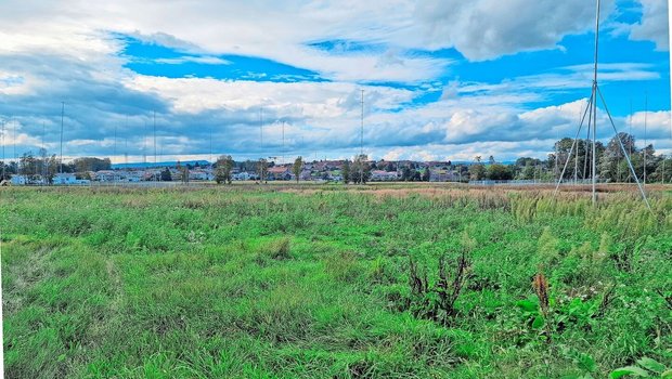 In St-Aubin, auf dem Areal der Agrico, soll der neue Micarna-Schlachthof erstellt werden. Umweltorganisationen versuchen, das Leuchtturmprojekt der Nachhaltigkeit auszubremsen.  